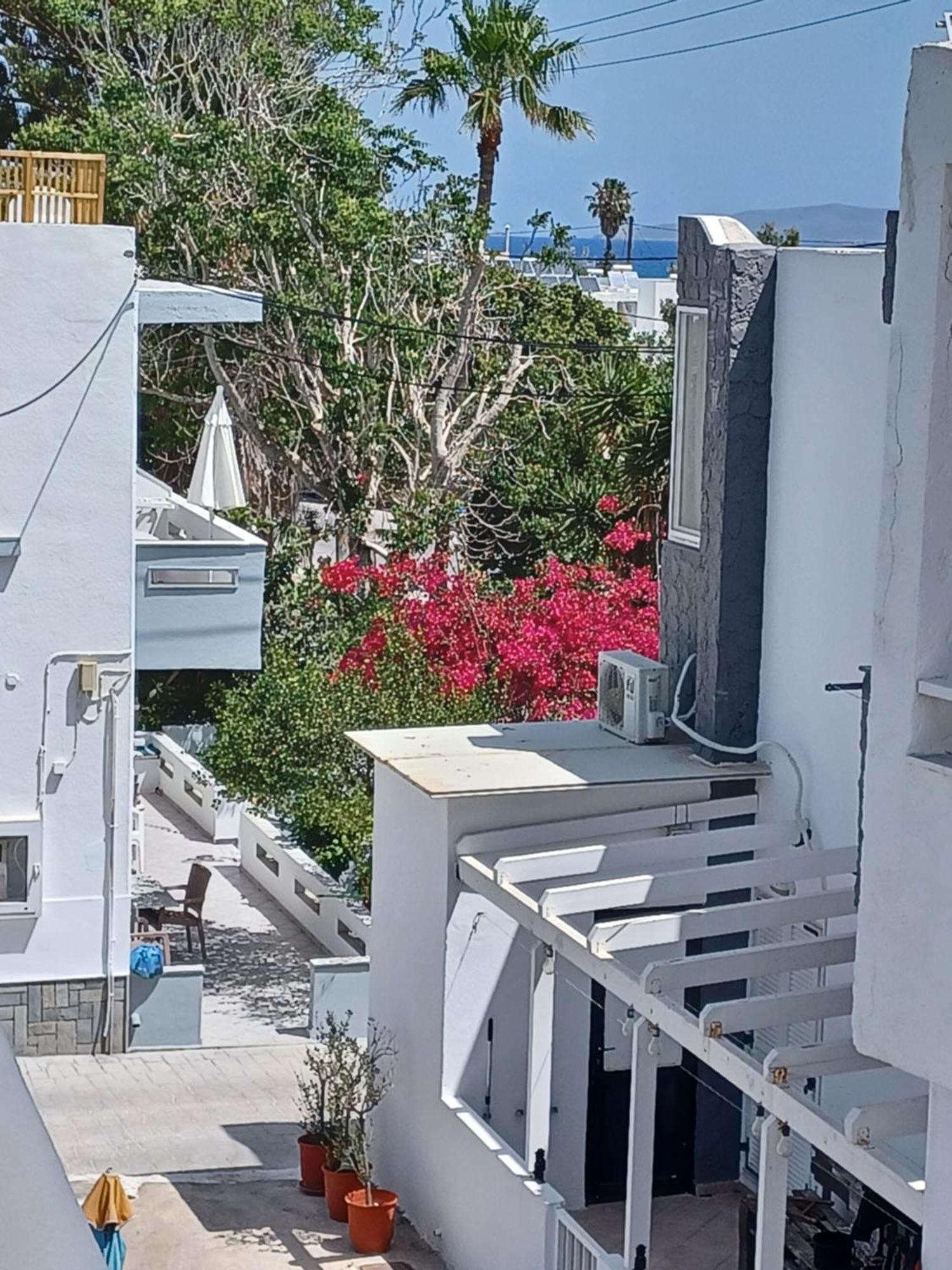 Mastichari Nektaria Studio Lägenhet Exteriör bild